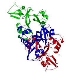 Image of CATH 5jcd