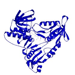 Image of CATH 5jck