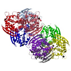Image of CATH 5jd4