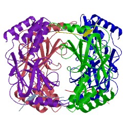 Image of CATH 5jer