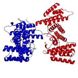 Image of CATH 5jg4