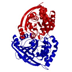 Image of CATH 5jgk