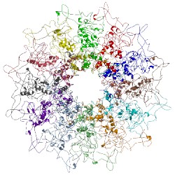 Image of CATH 5jj1