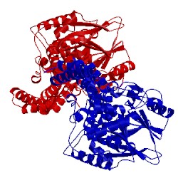 Image of CATH 5jjt