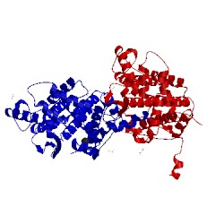 Image of CATH 5jjv