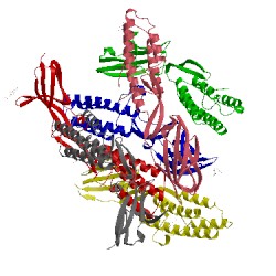 Image of CATH 5jk9