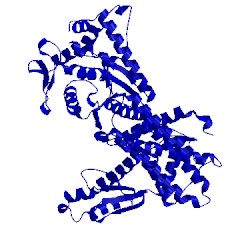 Image of CATH 5jld