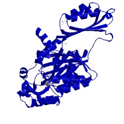 Image of CATH 5jlr