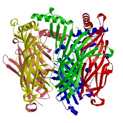 Image of CATH 5jme