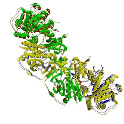 Image of CATH 5jnf