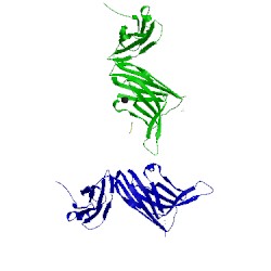 Image of CATH 5jny