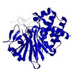 Image of CATH 5jpf