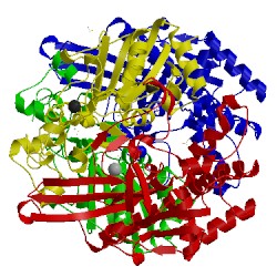 Image of CATH 5jrd