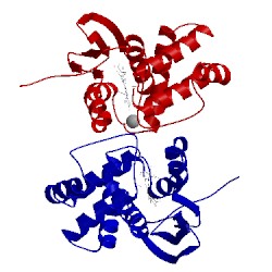 Image of CATH 5jrv