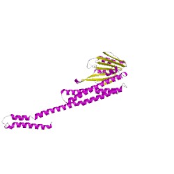 Image of CATH 5jrwD