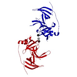 Image of CATH 5jsg