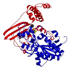 Image of CATH 5jsh