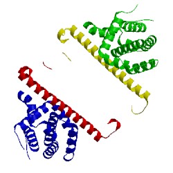 Image of CATH 5jsn