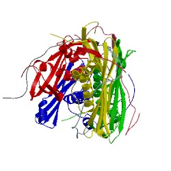 Image of CATH 5jtr