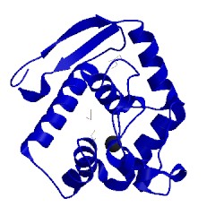 Image of CATH 5jts