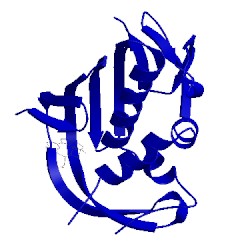 Image of CATH 5jun