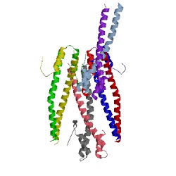 Image of CATH 5jvr