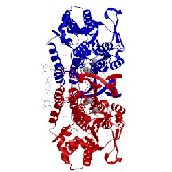 Image of CATH 5jwa