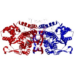 Image of CATH 5jwc