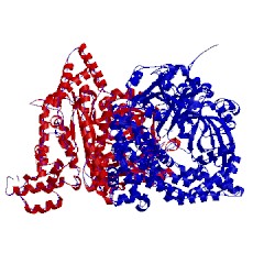 Image of CATH 5jwg