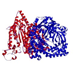 Image of CATH 5jwi