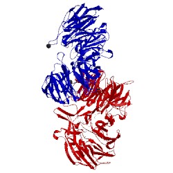 Image of CATH 5jwz