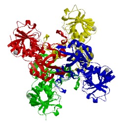 Image of CATH 5jy6