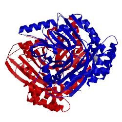 Image of CATH 5jzd