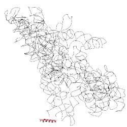 Image of CATH 5k0y