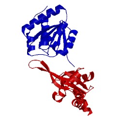 Image of CATH 5k23