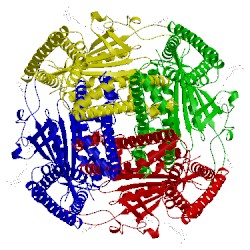 Image of CATH 5k47