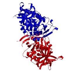 Image of CATH 5k4d