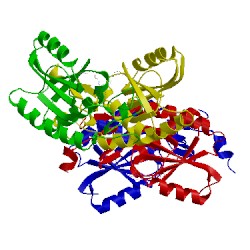 Image of CATH 5k51