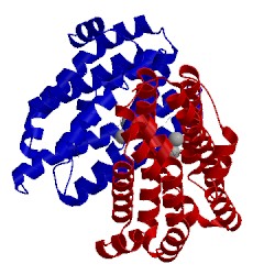 Image of CATH 5k53