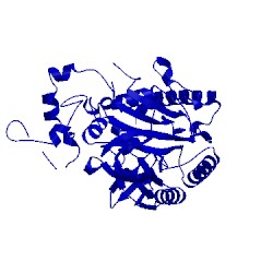 Image of CATH 5k63