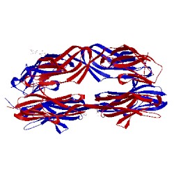 Image of CATH 5k6y