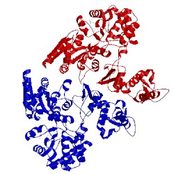 Image of CATH 5k94