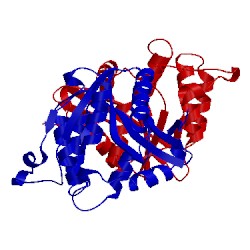 Image of CATH 5k9n