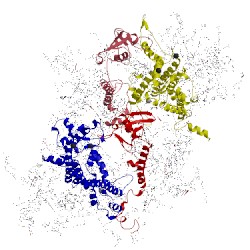 Image of CATH 5kai