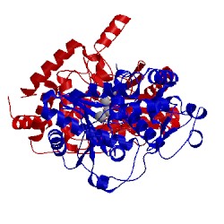 Image of CATH 5kal