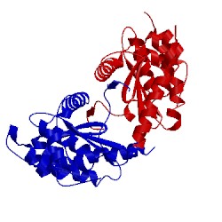 Image of CATH 5kbc