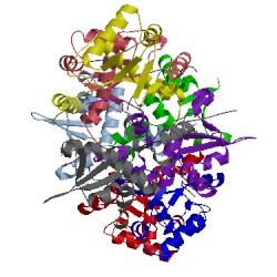 Image of CATH 5kbj