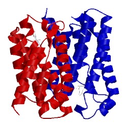 Image of CATH 5kbw