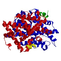 Image of CATH 5kcd