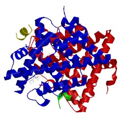 Image of CATH 5kce